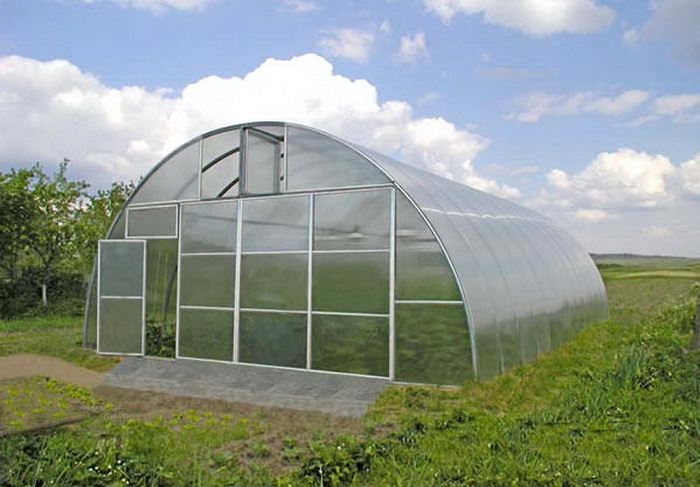 Как заняться производством теплиц