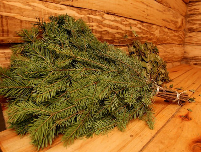 Как запарить пихтовый веник для бани правильно, польза пихты, как запаривать, когда заготавливают, фото и видео – всё о банях