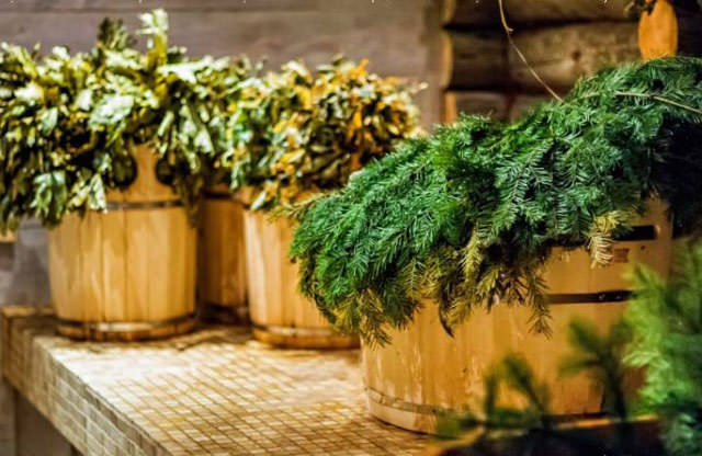 Как запарить пихтовый веник для бани правильно, польза пихты, как запаривать, когда заготавливают, фото и видео – всё о банях