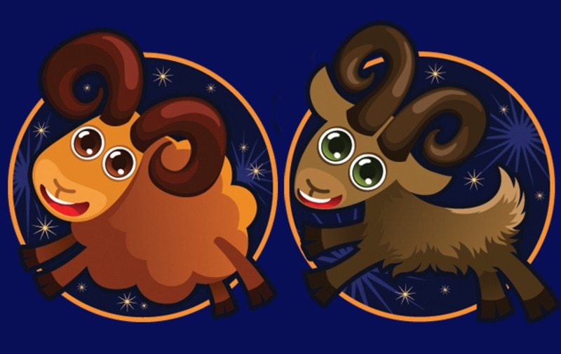 Как завоевать женщину-Козерога — всё о её характере, как ей точно понравиться, лайфхаки