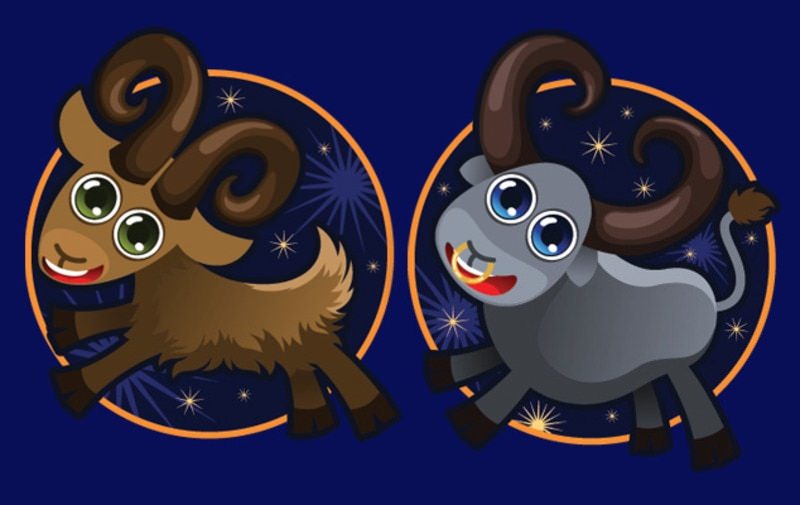 Как завоевать женщину-Козерога — всё о её характере, как ей точно понравиться, лайфхаки