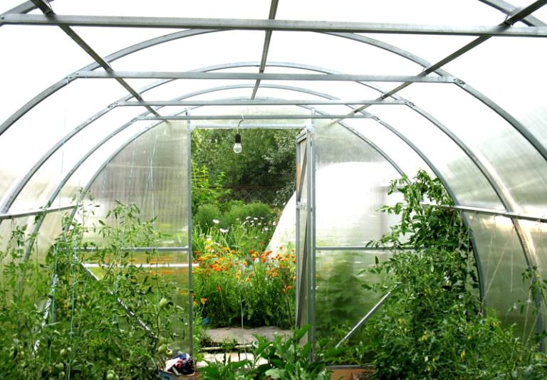 Какая теплица от производителя сотка считается самой лучшей?