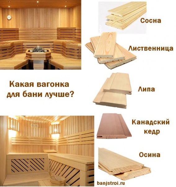 Какая вагонка лучше: сравнительный обзор вариантов и критерии выбора отделочного материала – всё о банях