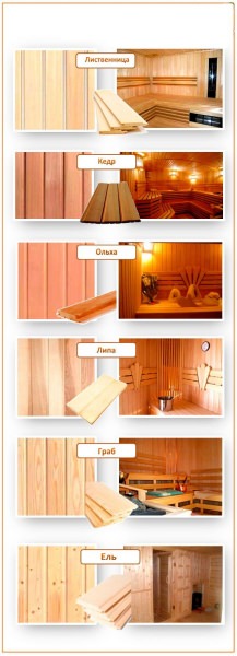 Какая вагонка лучше: сравнительный обзор вариантов и критерии выбора отделочного материала – всё о банях