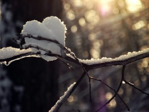 Какие из знаков зодиака выпадают на февраль-месяц — их характеристики, положительные и отрицательные черты характера