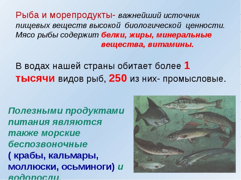 Какие пищевые вещества содержатся в рыбе