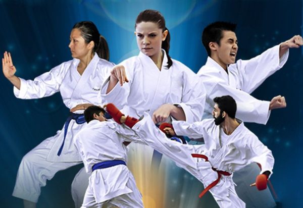 Какие пояса в карате — разбираем все цвета по порядку