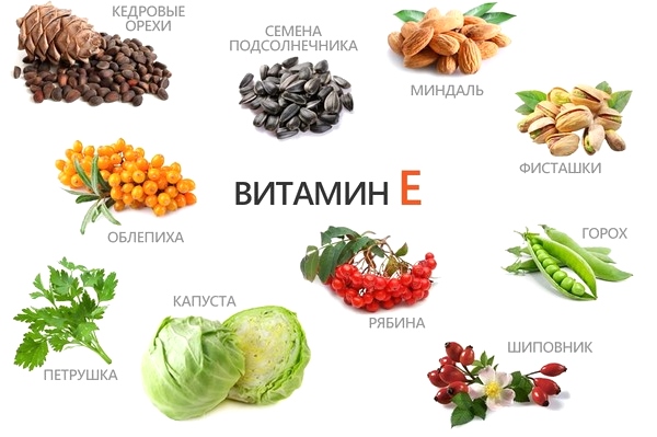 Какие продукты богаты витамином е