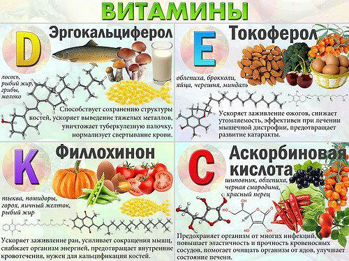 Какие продукты богаты витамином е