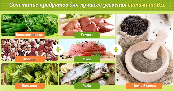 Какие продукты содержат витамин в12