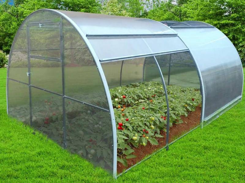 Какие работы нужно проводить в теплице осенью?