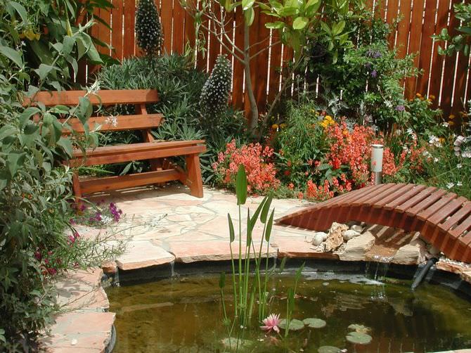 Какие растения для пруда на даче наиболее подходят