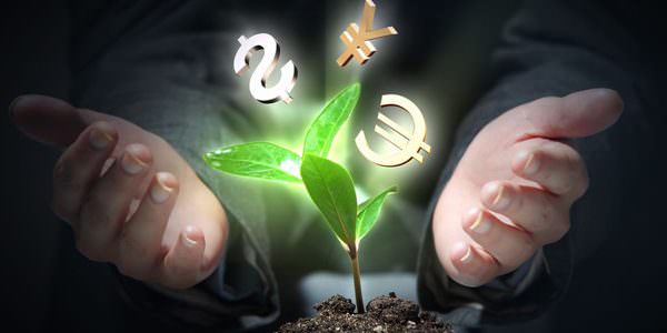 Какие существуют аффирмации на деньги — кармические законы и негативные блокировки