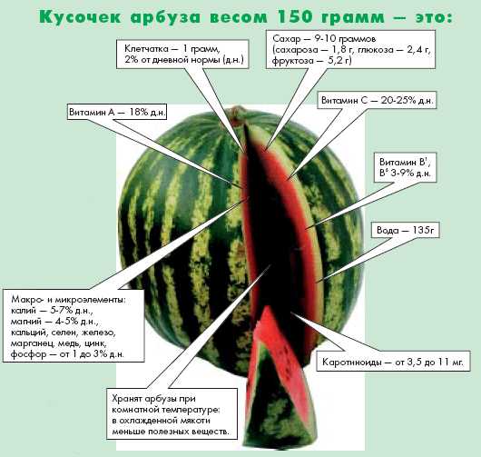 Какие витамины есть в арбузе