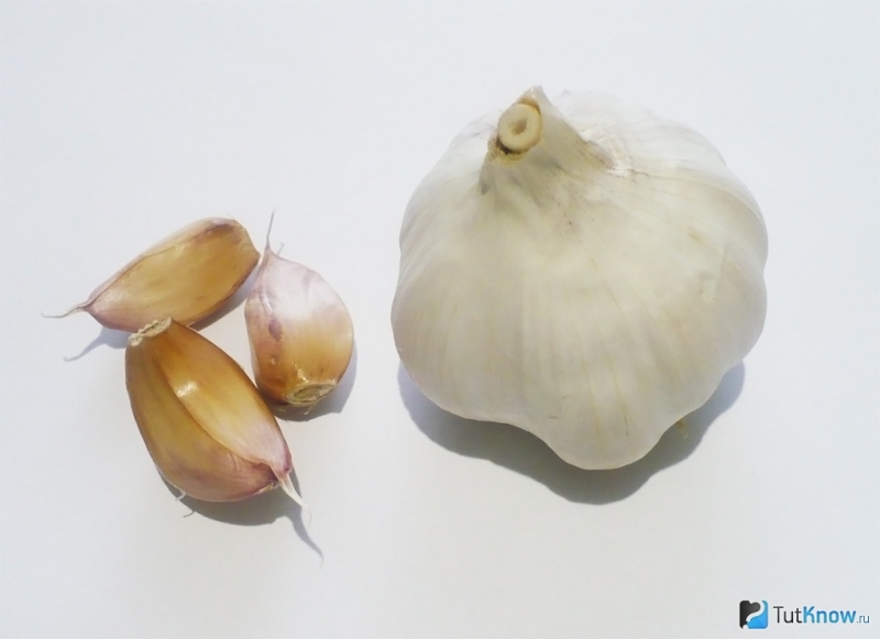 Какие витамины есть в чесноке