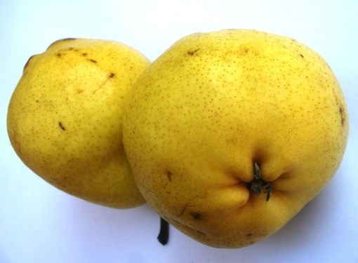 Какие витамины есть в груше