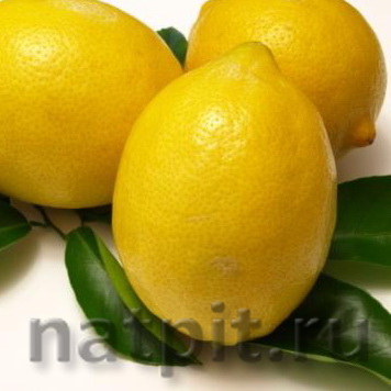 Какие витамины есть в лимоне