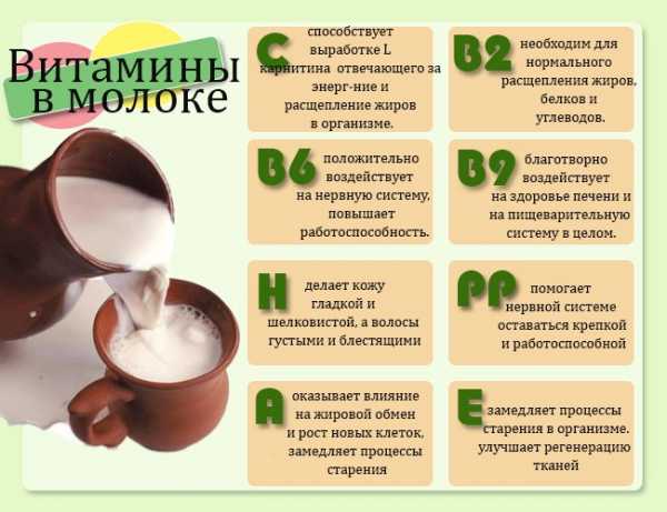 Какие витамины есть в молоке