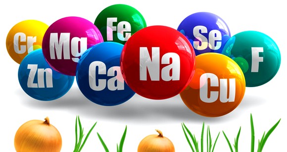 Какие витамины находятся в луке