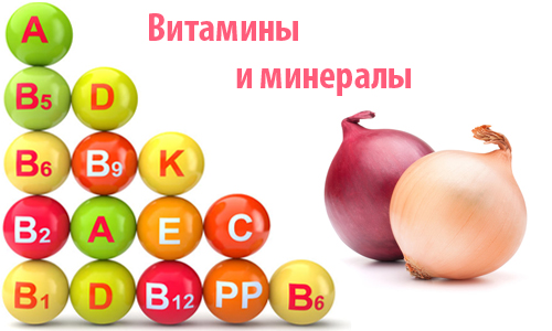 Какие витамины находятся в луке
