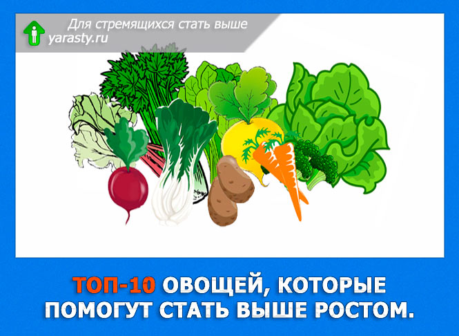 Какие витамины нужны для роста человека