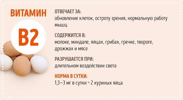 Какие витамины содержатся в яйцах