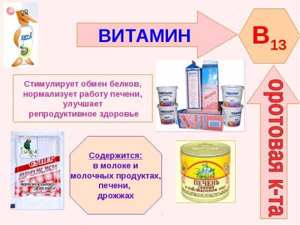 Какие витамины содержатся в молоке