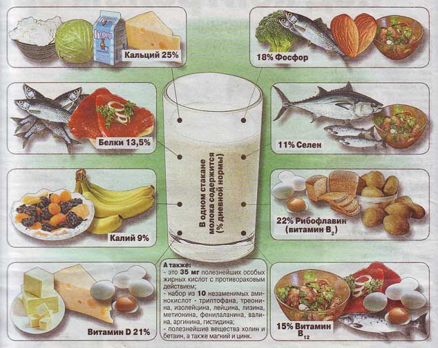 Какие витамины содержатся в молоке