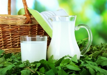 Какие витамины содержатся в молоке