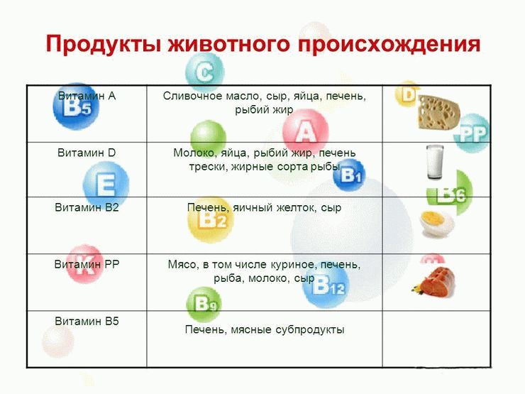 Какие витамины содержатся в моркови и печени