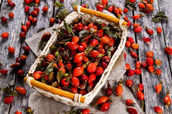 Какие витамины содержатся в шиповнике