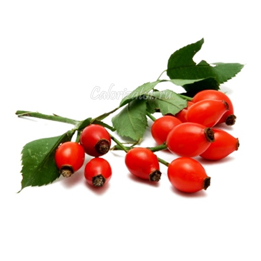 Какие витамины содержатся в шиповнике