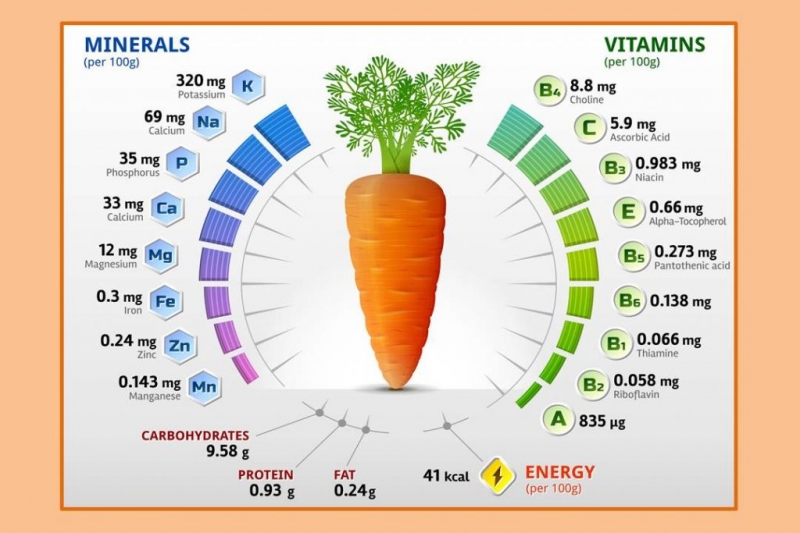 Какие витамины содержит морковь