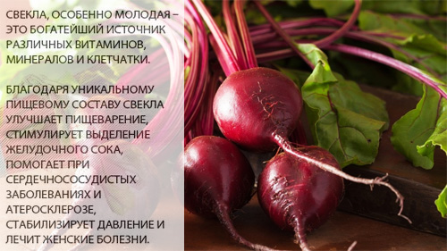 Какие витамины содержит свекла