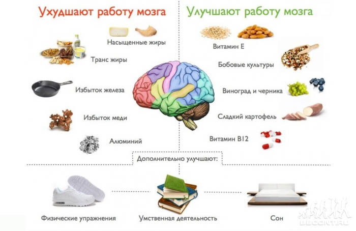 Какие витамины улучшают память