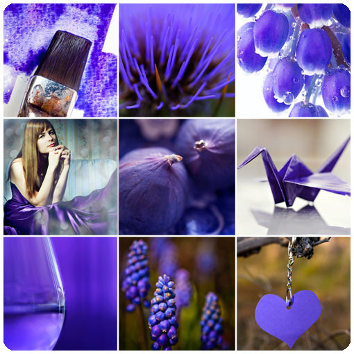 Каким значением обладает фиолетовый цвет — как влияет на человека, кто выбирает его, психология