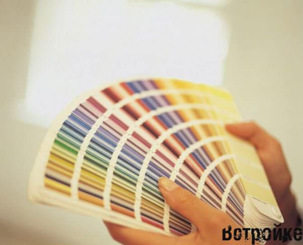 Каким значением обладает оранжевый цвет — как влияет на человека, кто выбирает его, психология