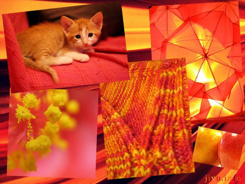 Каким значением обладает оранжевый цвет — как влияет на человека, кто выбирает его, психология