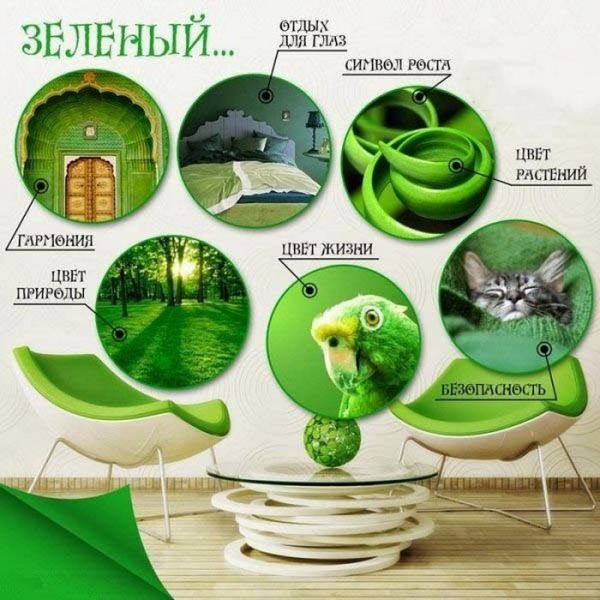 Каким значением обладает зеленый цвет — как влияет на человека, кто выбирает его, психология
