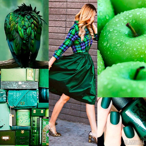 Каким значением обладает зеленый цвет — как влияет на человека, кто выбирает его, психология