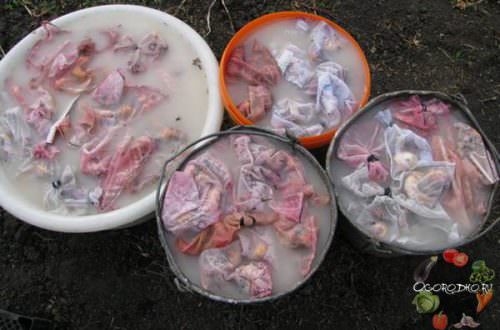 Какими достоинствами характеризуется теплица зил?