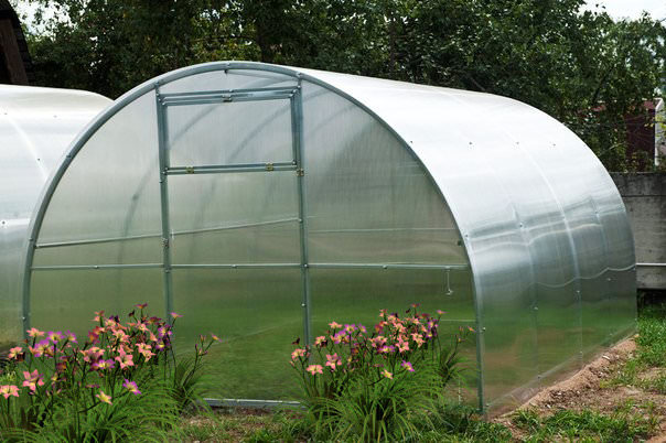 Какими достоинствами и особенностями отличаются теплицы «агроном»?