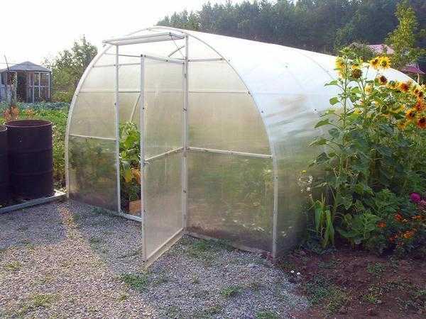 Какими достоинствами и особенностями отличаются теплицы «агроном»?