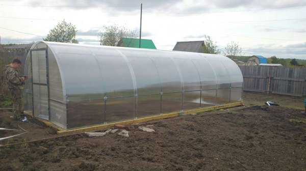 Какими достоинствами обладают теплицы мария делюкс?