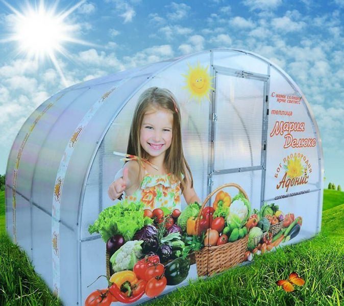 Какими достоинствами обладают теплицы мария делюкс?