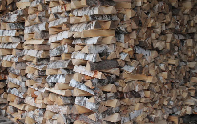 Какими дровами топить баню: как топить лучше и чем правильно, как затопить, растопить банную печь, фото и видео – всё о банях