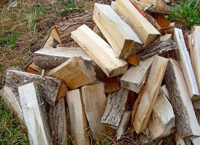 Какими дровами топить баню: как топить лучше и чем правильно, как затопить, растопить банную печь, фото и видео – всё о банях