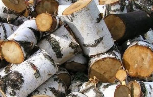 Какими дровами топить баню: как топить лучше и чем правильно, как затопить, растопить банную печь, фото и видео – всё о банях