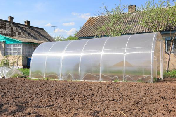 Какими характеристиками и достоинствами обладают теплицы слава сп?