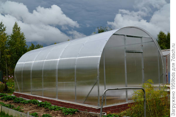 Какими характеристиками и достоинствами обладают теплицы слава сп?